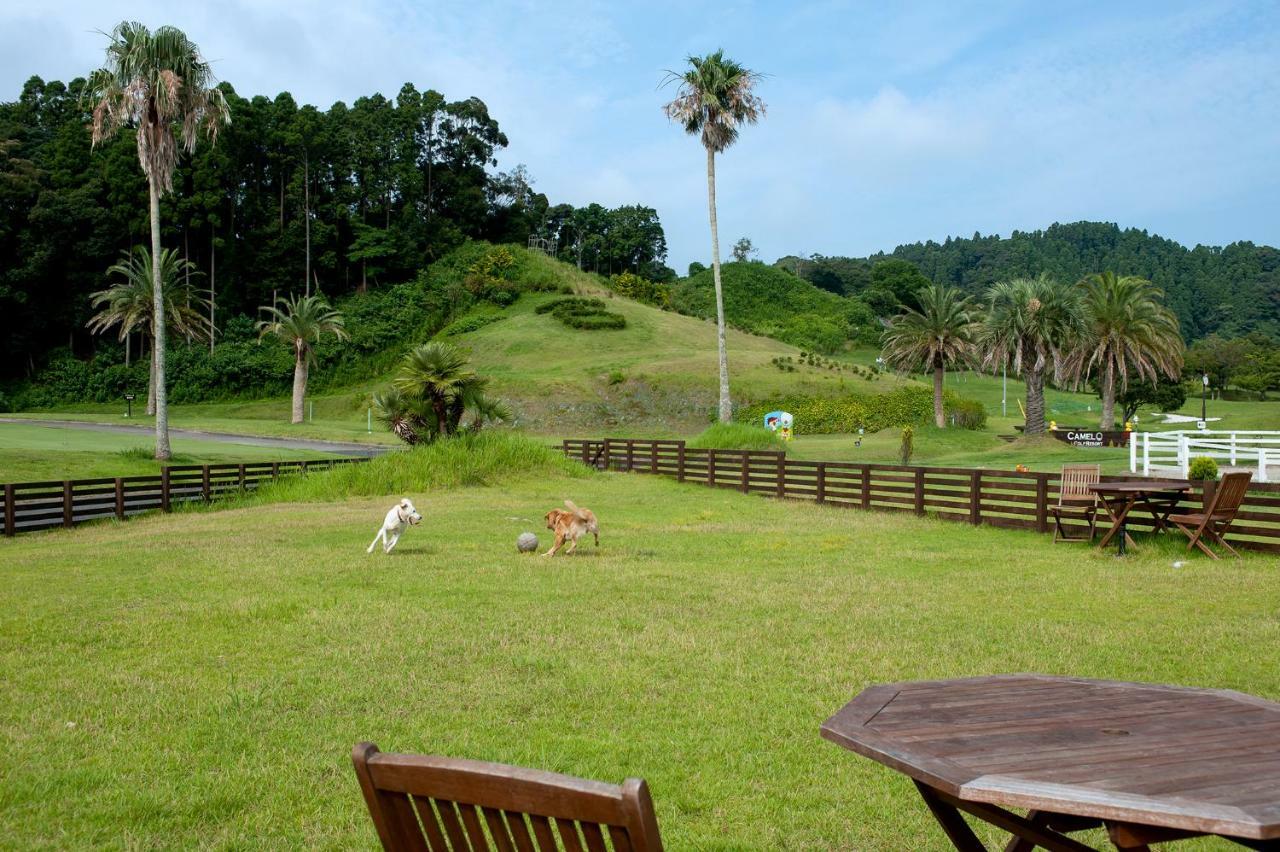 Camel Hotel Resort 御宿町 エクステリア 写真